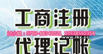 南城優(yōu)質(zhì)代理記賬公司 金林財務手續(xù)簡便快捷，科技賦能中介服務
